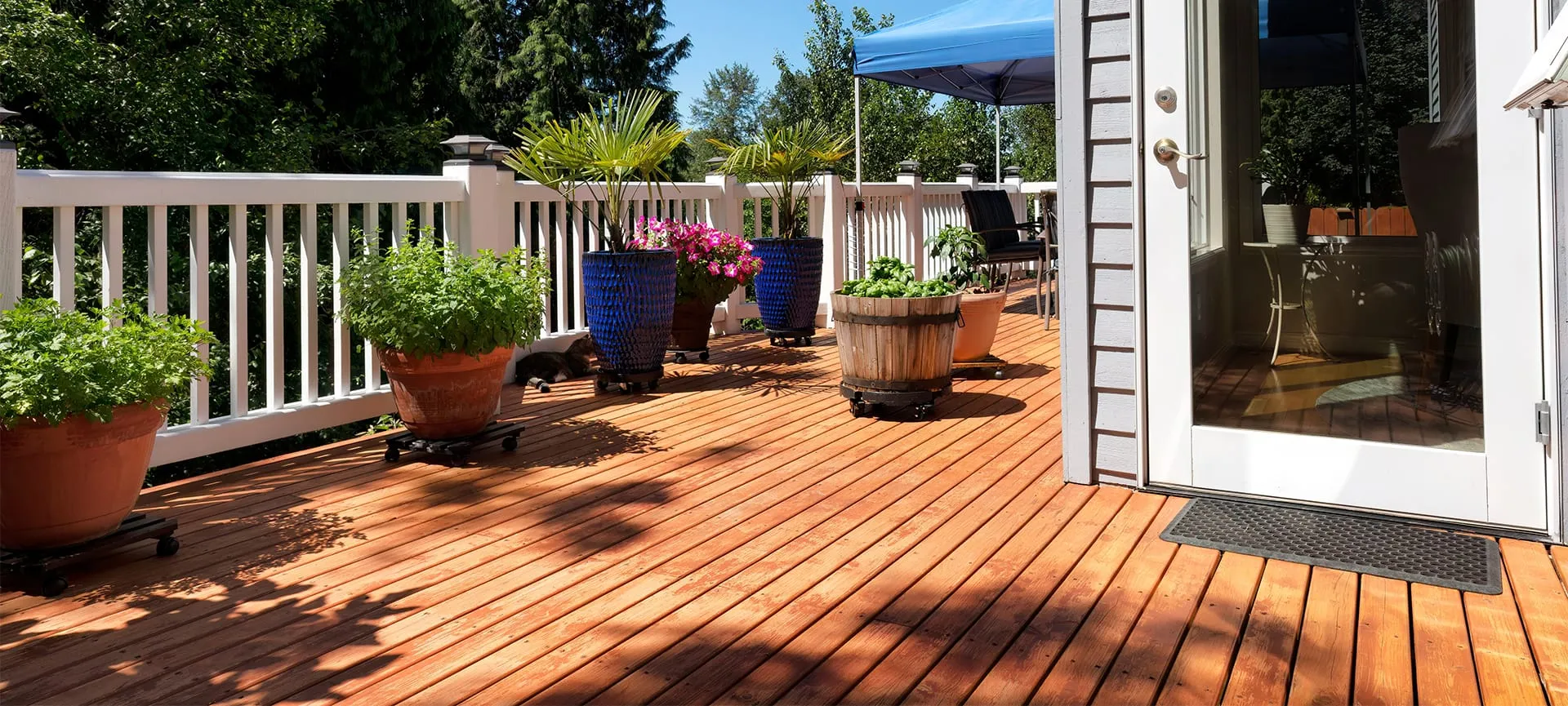 home deck backyard with garden and plants in pots