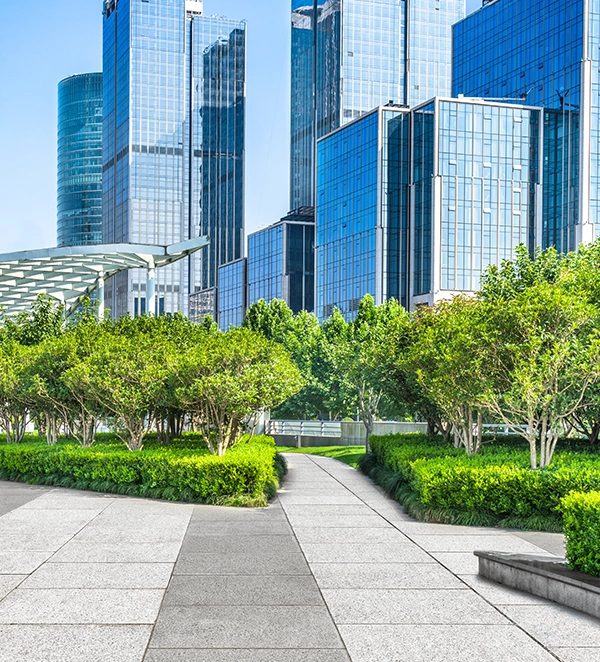 commercial landscaping