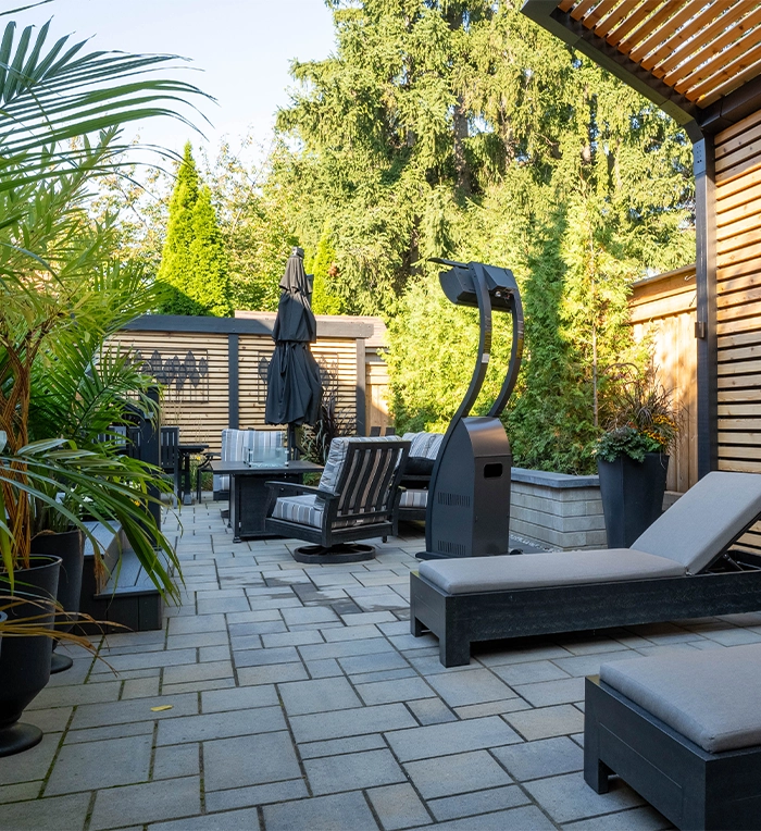 beautiful backyard, sitting space, plants decor, privacy screen