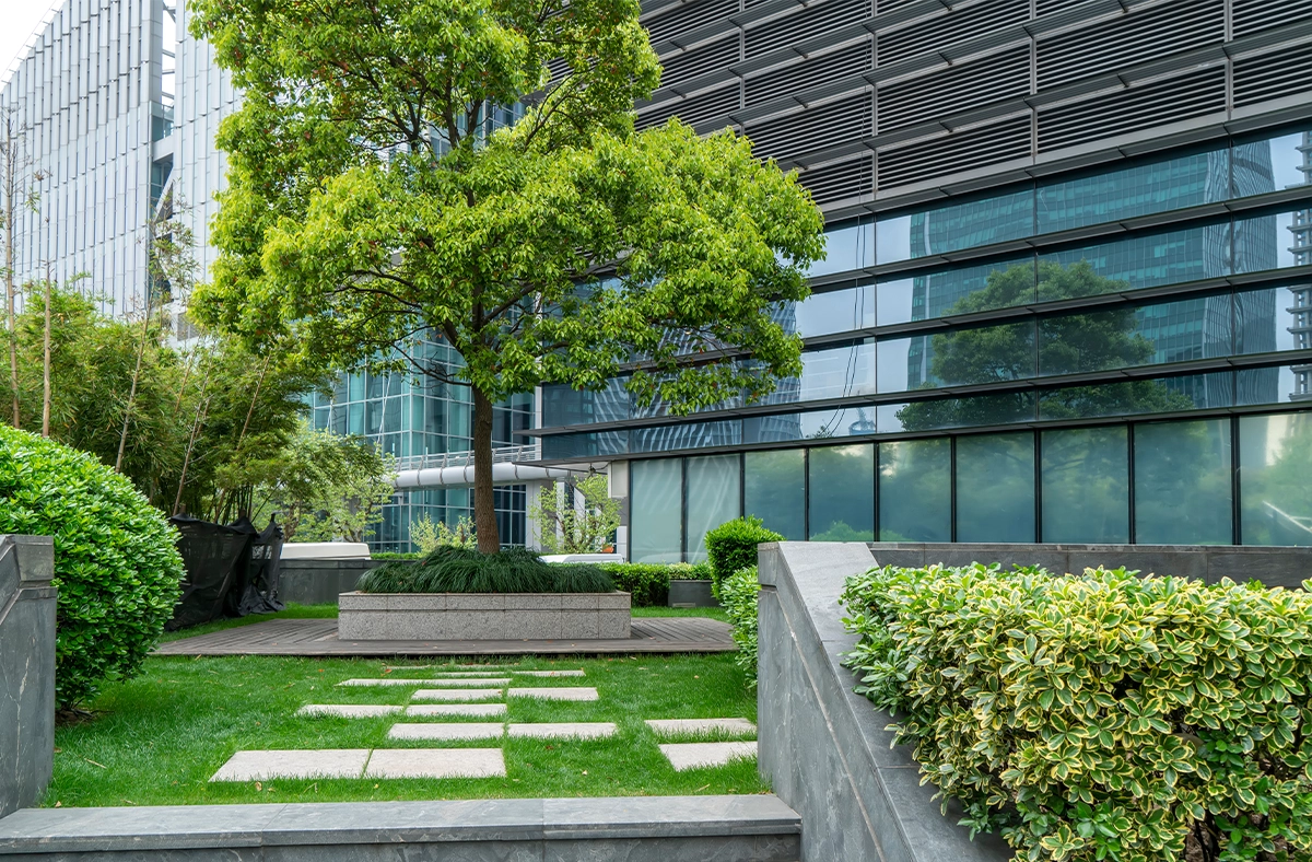 beautiful landscaping in front of office