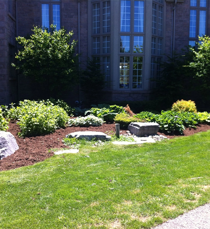 close up view of landscaping sodding and mulch in front of building