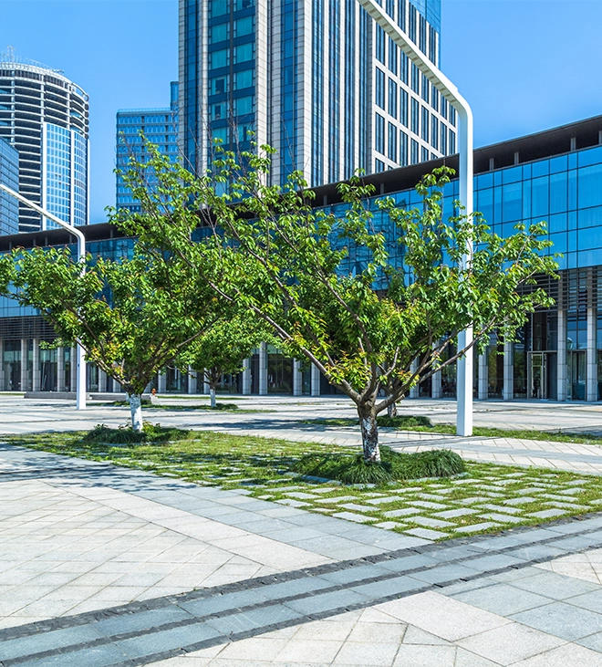 commercial landscaping design in office yard