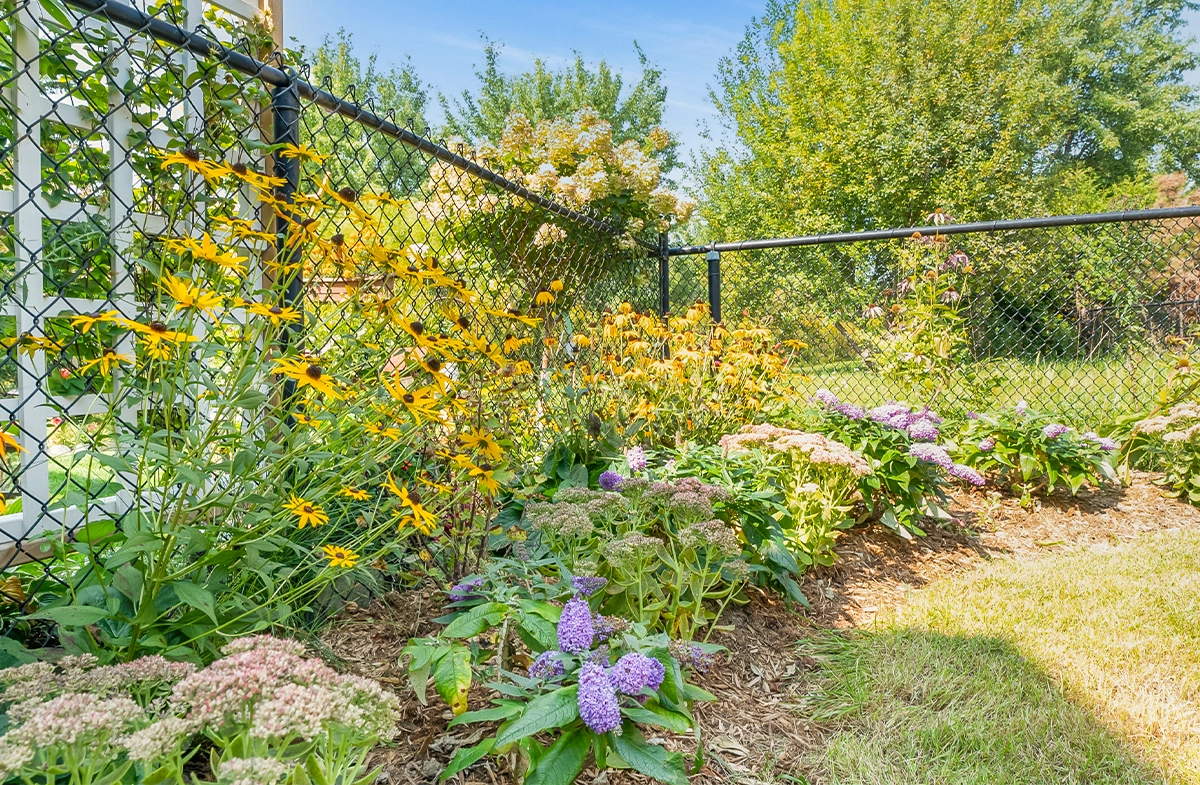 flowers and planting in yard flowers and planting in yard