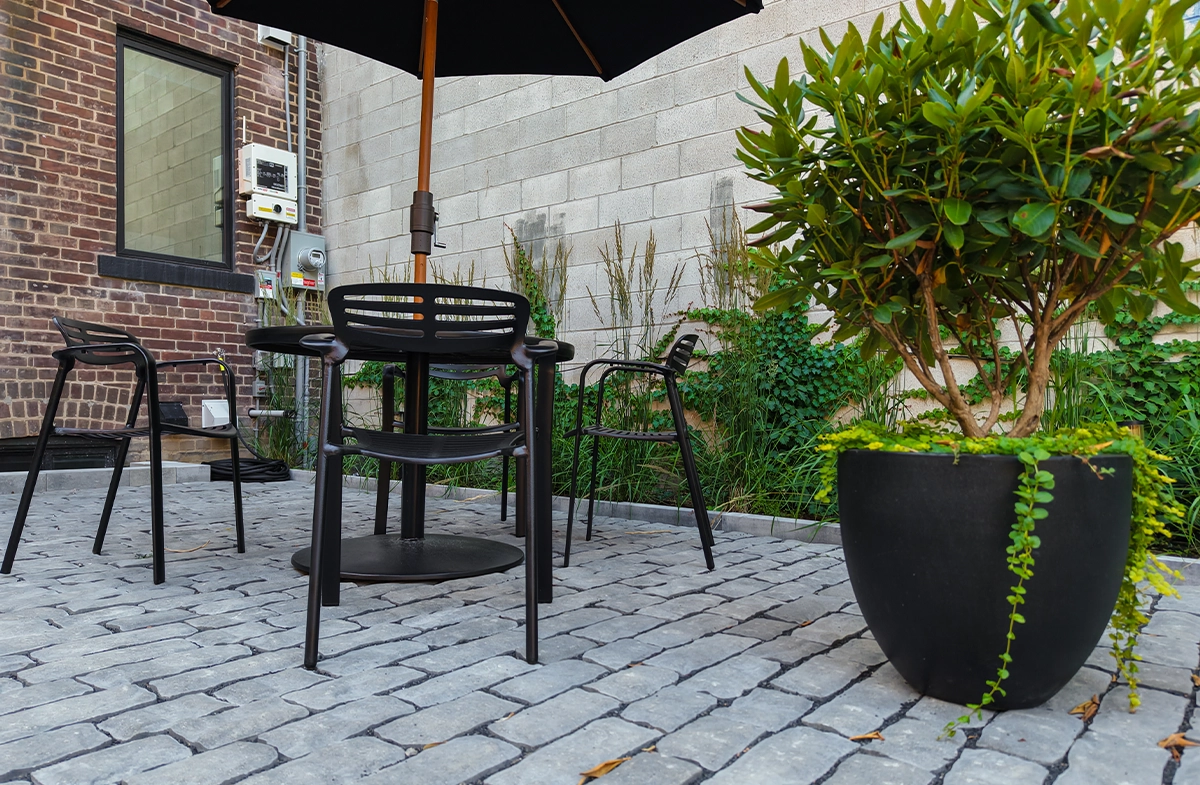 open sitting setup with landscape and planting decor open sitting setup with landscape and planting decor