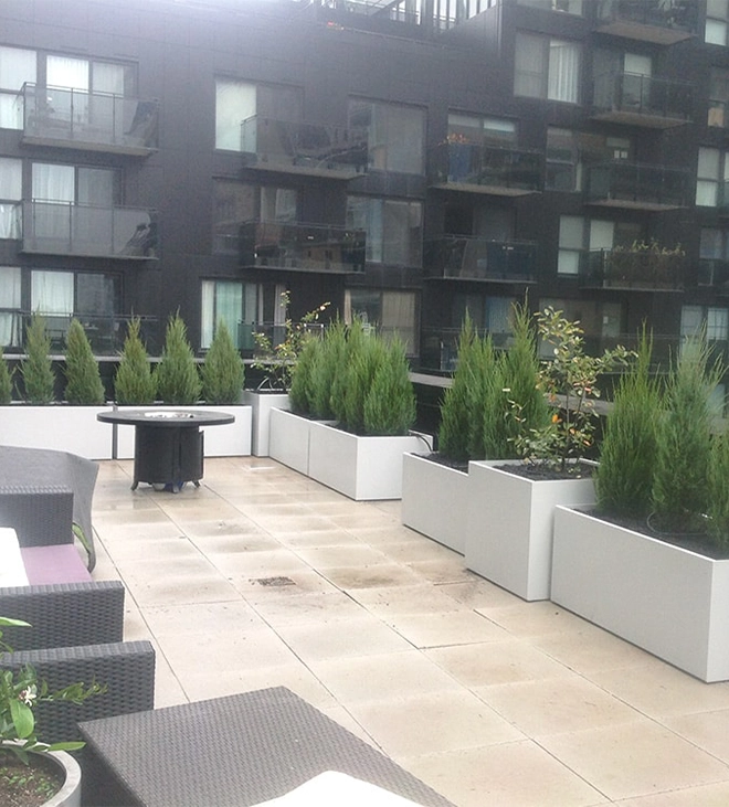 planting in pots in office building