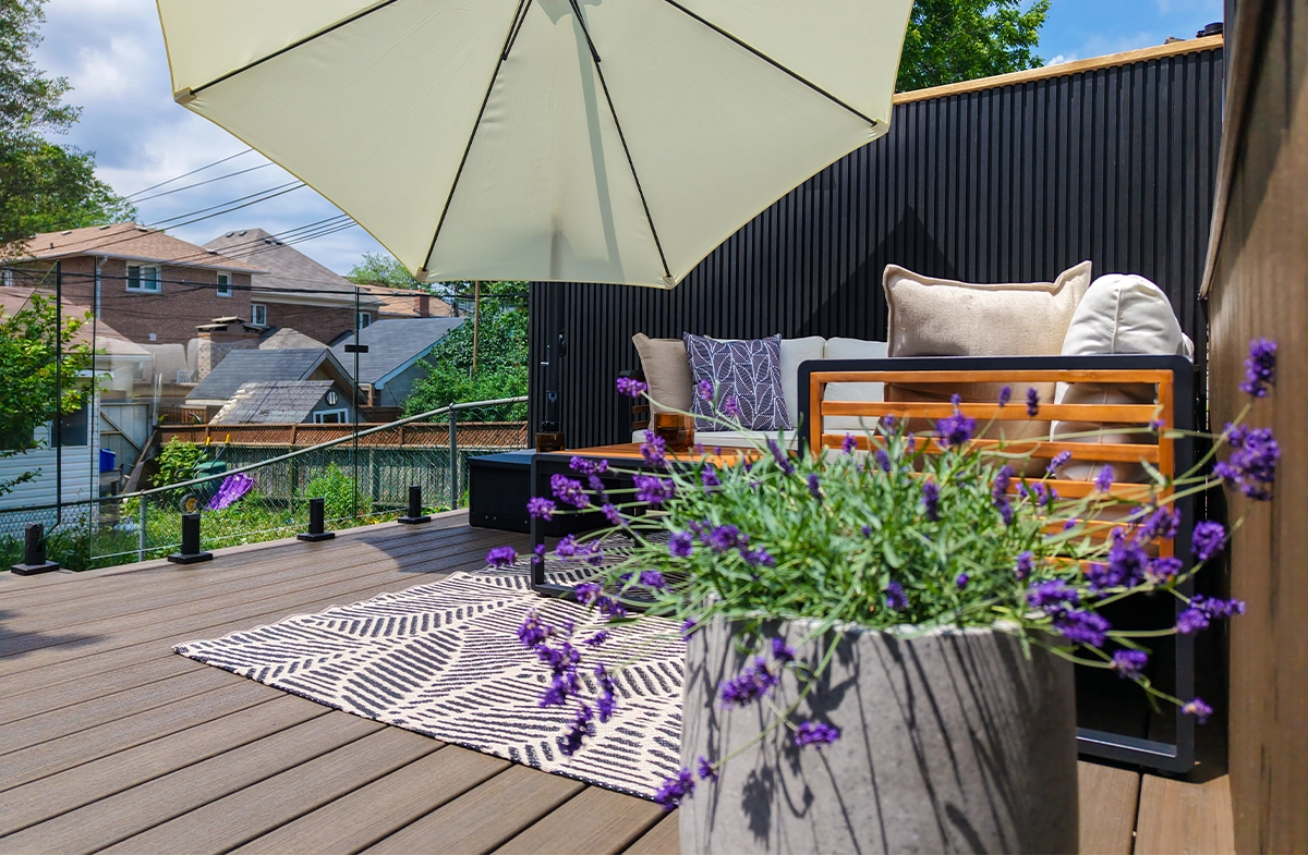 plants in pot close up view and umbrella on on sitting setup deck plants in pot close up view and umbrella on on sitting setup deck
