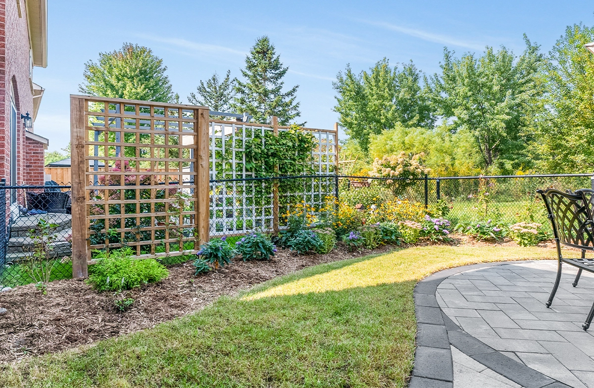 privacy screen and landscaping privacy screen and landscaping