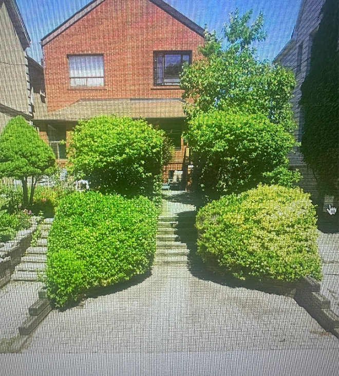 stairs covered with trees stairs covered with trees