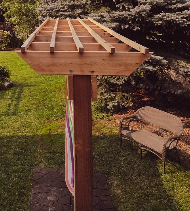 the trex transcend line the trex transcend line