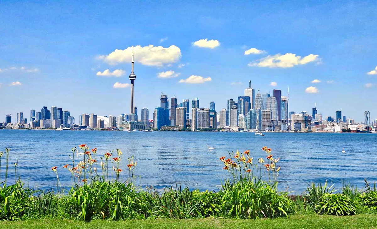 toronto commercial landscaping view