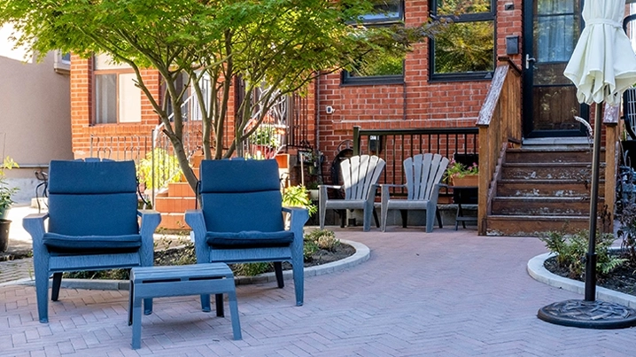 tree in center front yard tree in center front yard