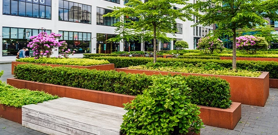 commercial landscape gallery image eight