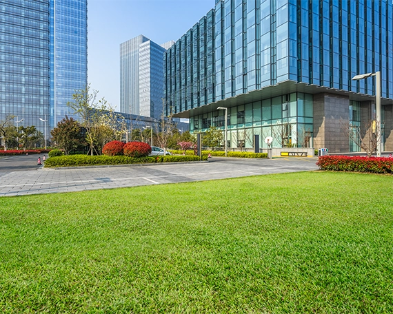 commercial landscape gallery image one