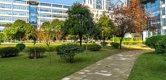 commercial landscape gallery image six