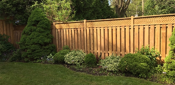 fence with landscape in backyard lawn
