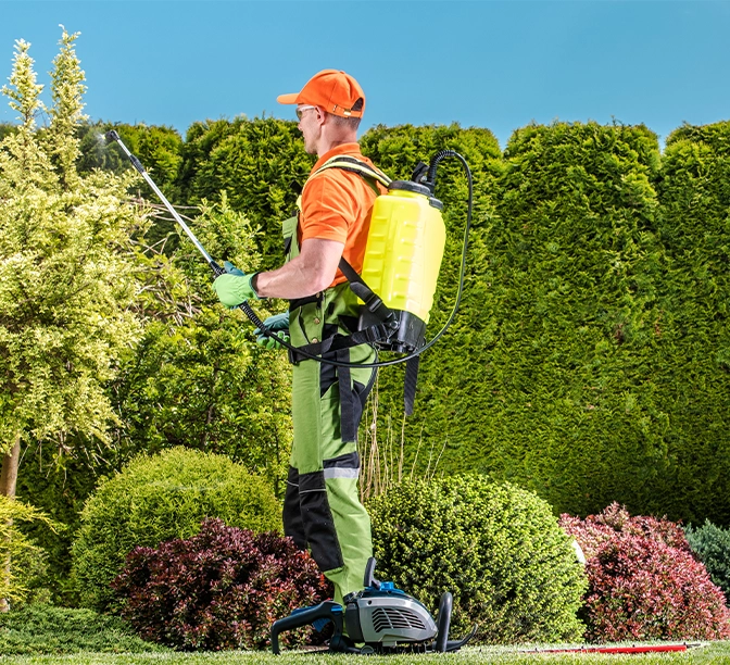 Caucasian Gardener and Garden Plants Insecticide Work. Spring Landscape Maintenance.