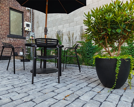 plant in pot, landscaping with retaining wall and seating space