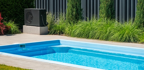 landscaping around salt water pool