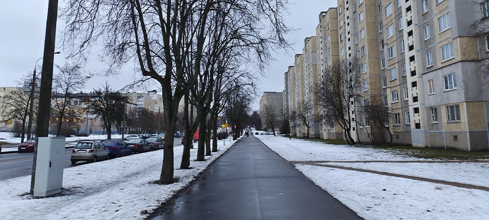 After the snowfall, the ground is covered with snow. The road and bike path have been cleared by municipal services. Cars are driving by. There are buildings, lampposts, parked cars and trees nearby