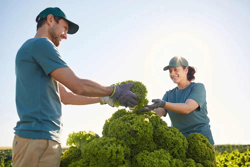 couple working on landscaping