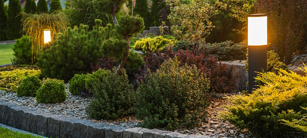 Modern Outdoor LED Garden Lighting Inside Beautiful Mature Residential Backyard. Gardening and Landscaping Theme