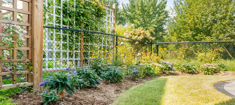 soft scaping, flowers, plants, tree with grass protect by iron railing