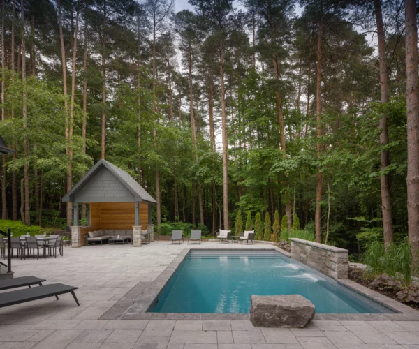 pool-design backyard in a forest with a pool